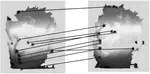 Feature Point Based Robust Three-Dimensional Rigid Body Registration